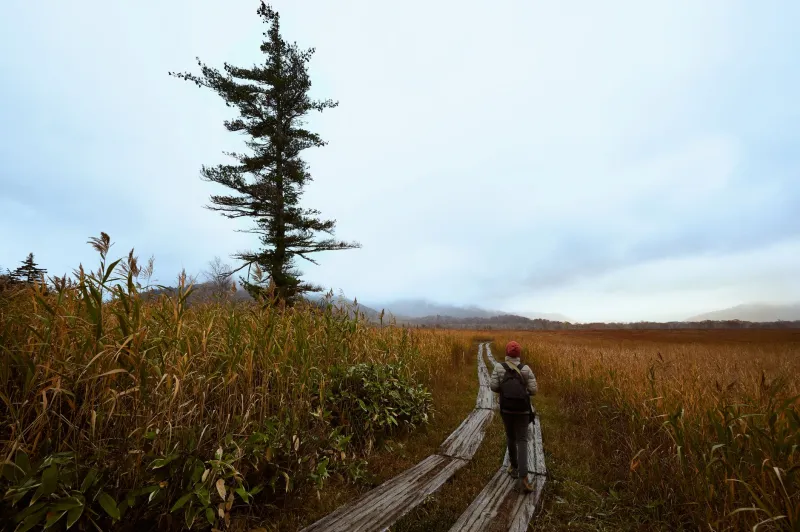 Empty Trails, Full Stories: Why Off-Season Solo Travel Is the Serendipity Hack Nobody Talks About